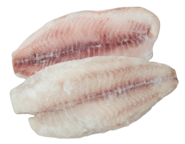 Fillet dori beku Samaki
