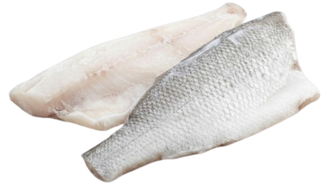 Fillet kakap laut beku Samaki
