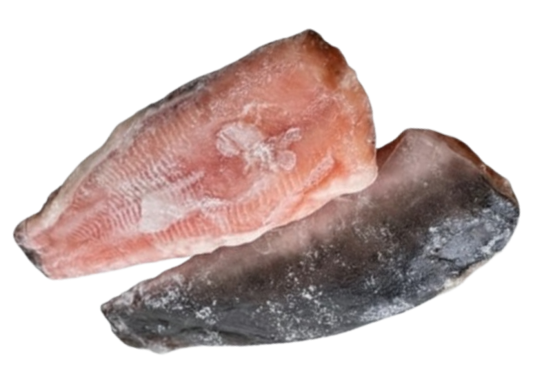Fillet lele beku Samaki